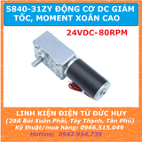 5840-31ZY Động cơ DC giảm tốc moment xoắn cao điện áp 24VDC 80RPM
