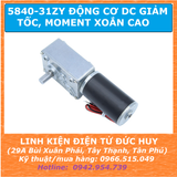 5840-31ZY Động cơ DC giảm tốc moment xoắn cao điện áp 24VDC 27RPM