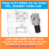 5840-31ZY Động cơ DC giảm tốc moment xoắn cao điện áp 24VDC 40RPM