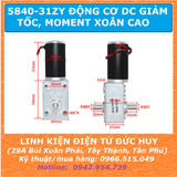 5840-31ZY Động cơ DC giảm tốc moment xoắn cao điện áp 24VDC 27RPM