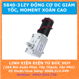 5840-31ZY Động cơ DC giảm tốc moment xoắn cao điện áp 24VDC 80RPM