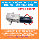 5840-31ZY Động cơ DC giảm tốc moment xoắn cao điện áp 24VDC 80RPM