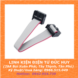 CÁP IDE 15CM 2.54MM 2 ĐẦU 6p,8p,10p,12p,14p