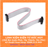 CÁP IDE 15CM 2.54MM 2 ĐẦU 6p,8p,10p,12p,14p