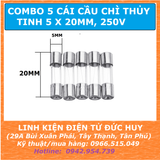 CẦU CHÌ THỦY TINH, KIẾNG 5 x 20mm, 250V