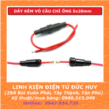 DÂY KÈM VỎ CẦU CHÌ ỐNG 5x20mm