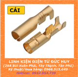 COS ĐẦU ĐẠN GHIM TRÒN 4MM ĐỰC / CÁI ( KÈM VỎ BỌC )