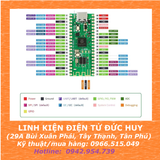 MẠCH RASPBERRY PI PICO W RP2040 WIFI ESP8285