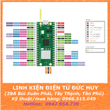 RASPBERRY PI PICO W RP2040 WIFI + BLUETOOTH, MICRO USB (chip gốc)
