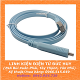 Dây cáp Console USB Type C sang RJ45