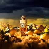  Electimuss Auster Pure Parfum 