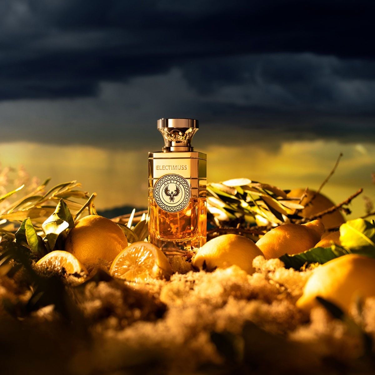  Electimuss Auster Pure Parfum 