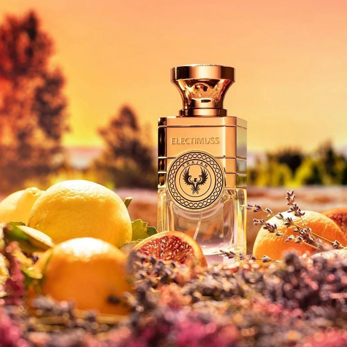  Electimuss Trajan Pure Parfum 