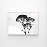 MODERN DECOR CANVAS 03 