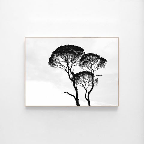  MODERN DECOR CANVAS 03 
