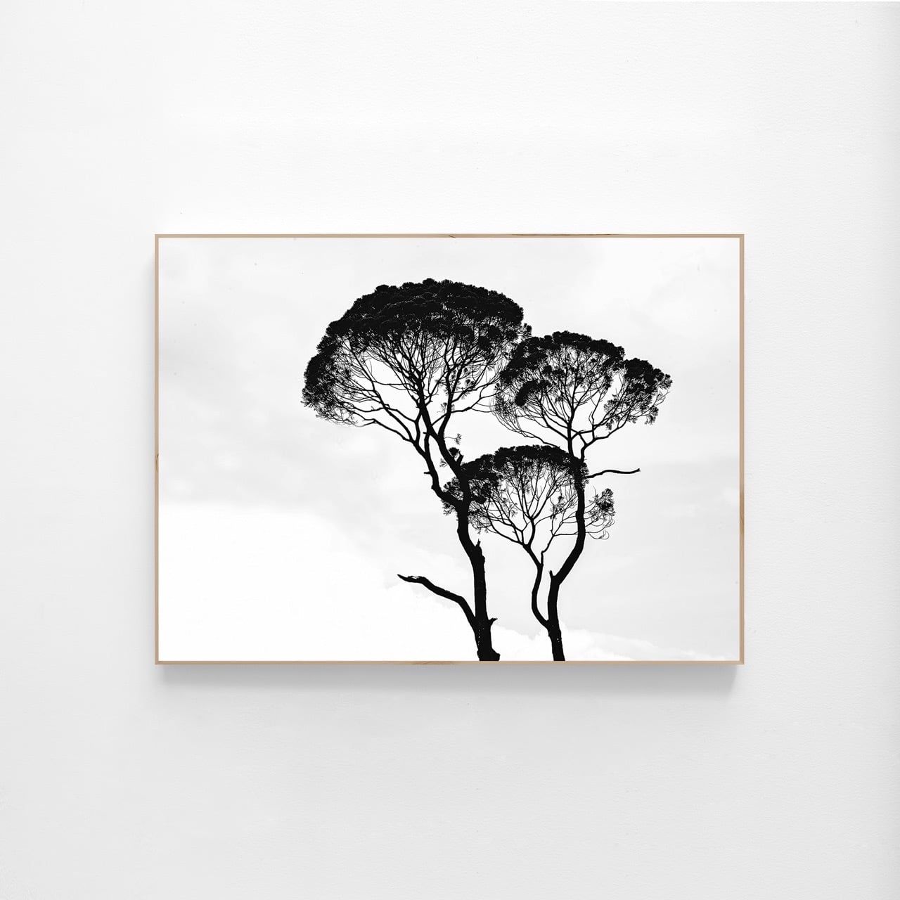  MODERN DECOR CANVAS 03 