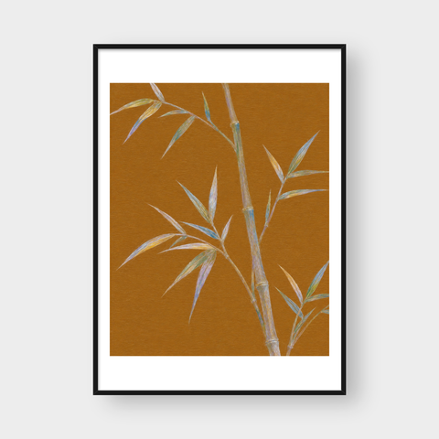  THE BAMBOO 