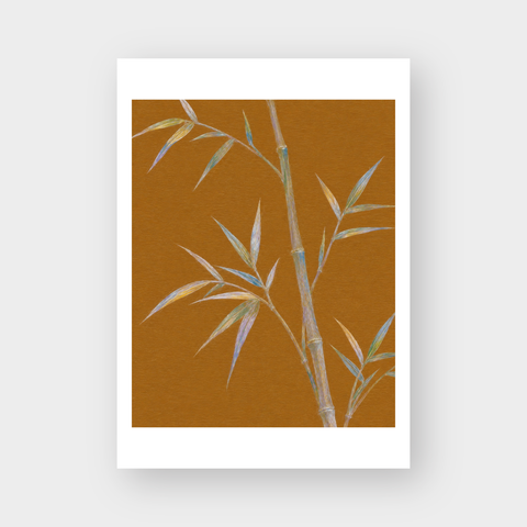  THE BAMBOO 