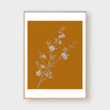  THE BLOSSOM BRANCH 