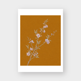 THE BLOSSOM BRANCH 