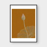  LOTUS BUD 
