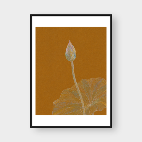  LOTUS BUD 
