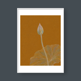 LOTUS BUD 