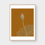  LOTUS BUD 