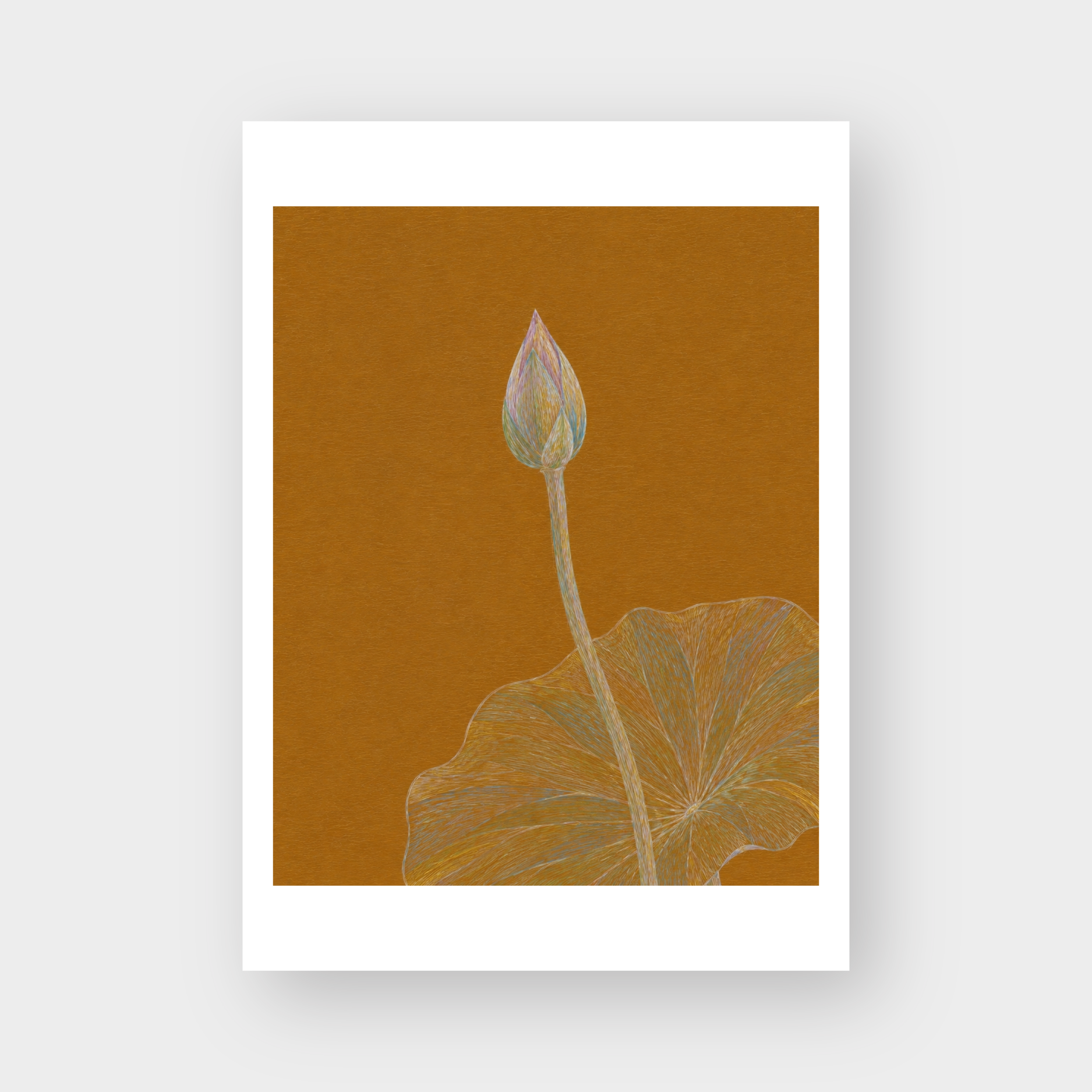  LOTUS BUD 