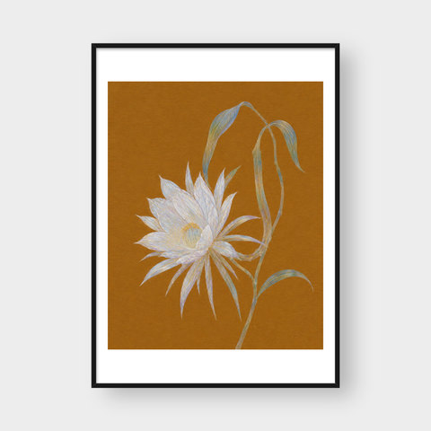  NIGHT BLOOMING 
