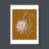  NIGHT BLOOMING 