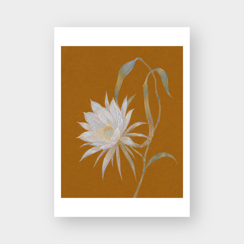  NIGHT BLOOMING 