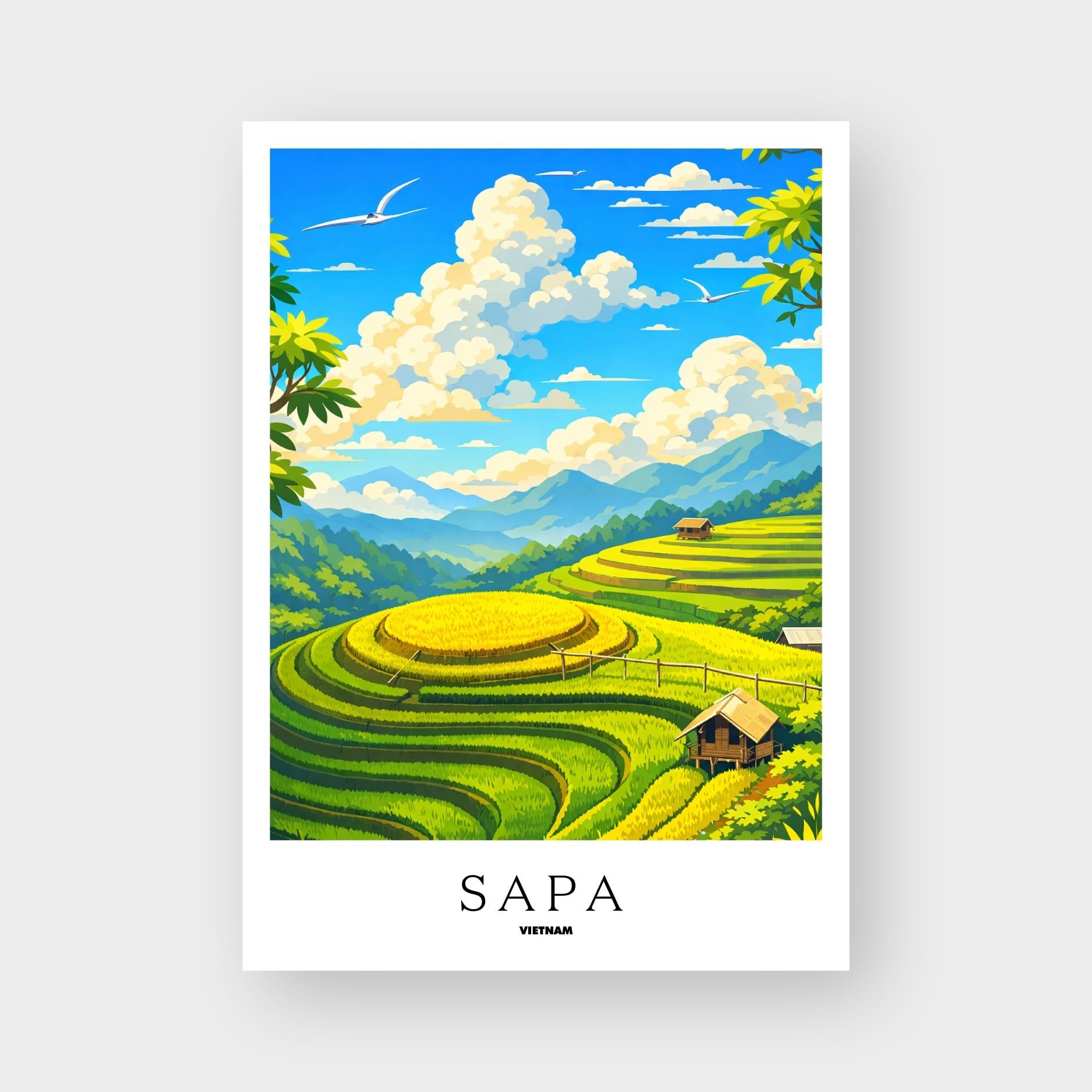  SAPA 