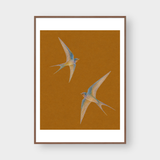  SWALLOWS 