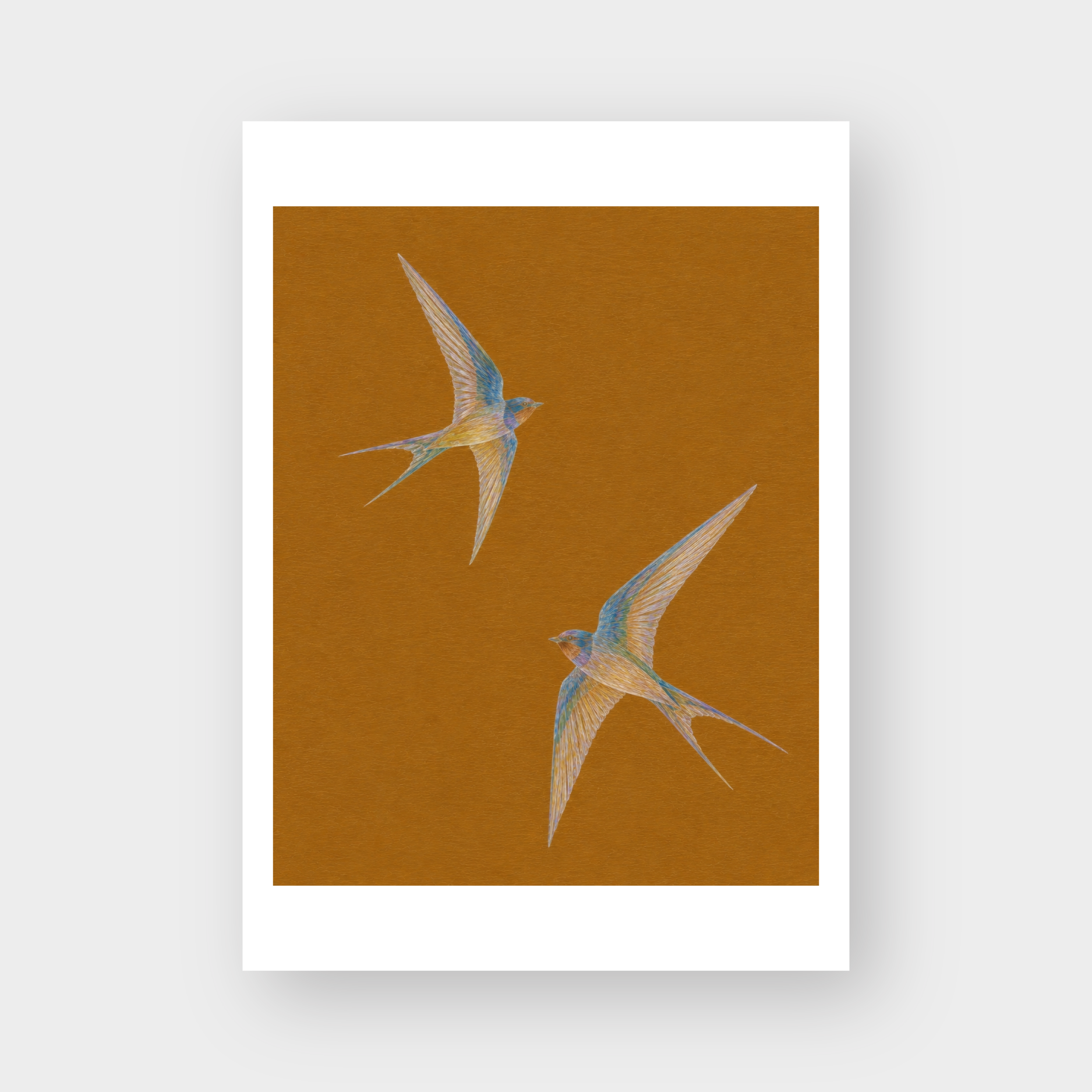  SWALLOWS 