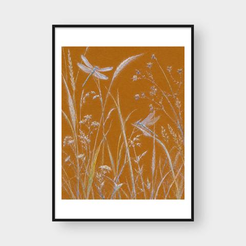  THE MEADOW 