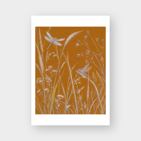  THE MEADOW 