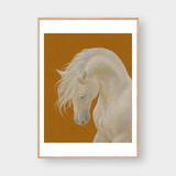  WHITE HORSE 