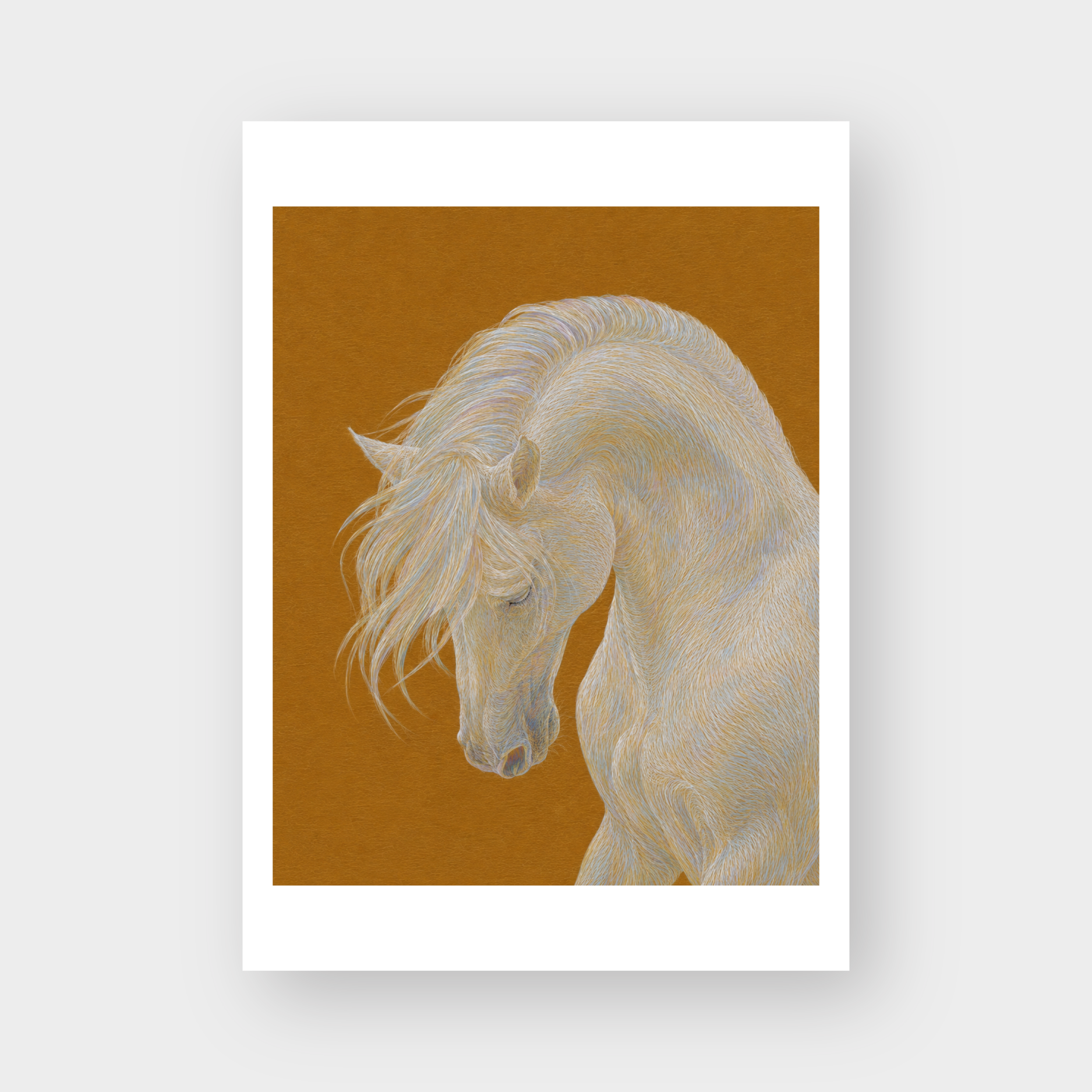  WHITE HORSE 