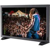  Màn hình Lilliput PVM210 / PVM210S 21.5 inch 