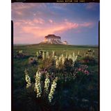  Phim âm bản màu chuyên nghiệp Kodak Ektar 100 