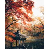  Phim âm bản màu chuyên nghiệp Kodak Ektar 100 