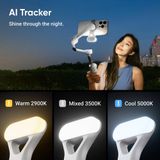  Insta360 Flow 2 AI Tracker Bundle 