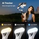  Insta360 Flow 2 Pro AI Tracker Bundle 