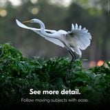  Ống nhòm Nikon 12x25 S Stabilized Binoculars 