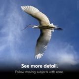  Ống nhòm Nikon 10x25 S Stabilized Binoculars 