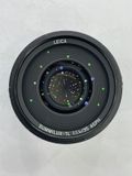  Leica TL Summilux 35mm f1.4 cũ 