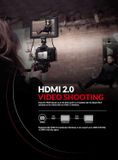  Màn hình LILLIPUT Q7-12G ( FLQ11 ) 