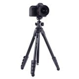  Chân máy Benro FOX Tripod Kit - TFX15AGT0 