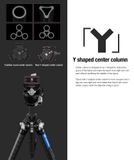  Chân tripod Leofoto LY 254C + đầu ball LH 30 